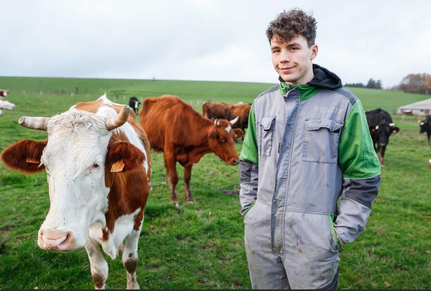 Arnaud de Lie con sus vacas en la granja familiar