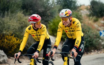 Jonas Vingegaard, Wout van Aert