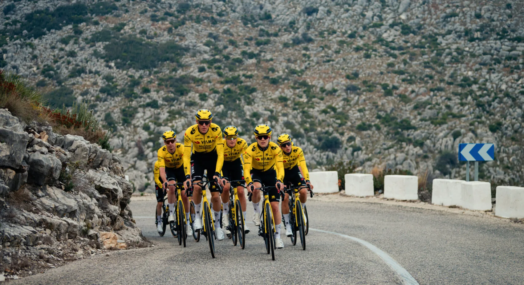 Visma - Lease a Bike