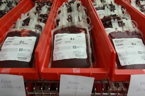 Bolsas de sangre