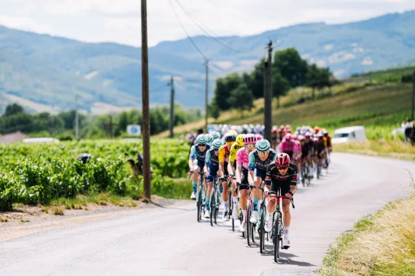 El pelotón en el Tour Auvergne Rhone Alpes 2026